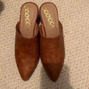 Brown mules  purchased from Vici